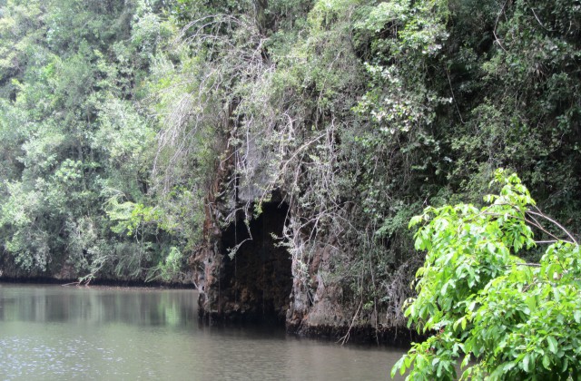 Parque Nacional Los Haitises Republica Dominicana 6